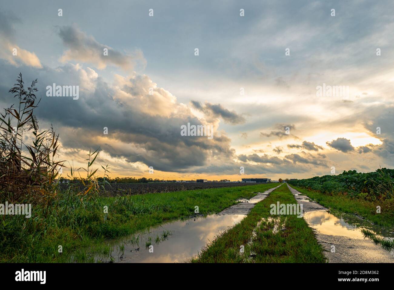 Campagna con pozzanghere piovose su una strada sterrata, mentre le ultime nuvole illuminate dal sole si stanno allontanando Foto Stock