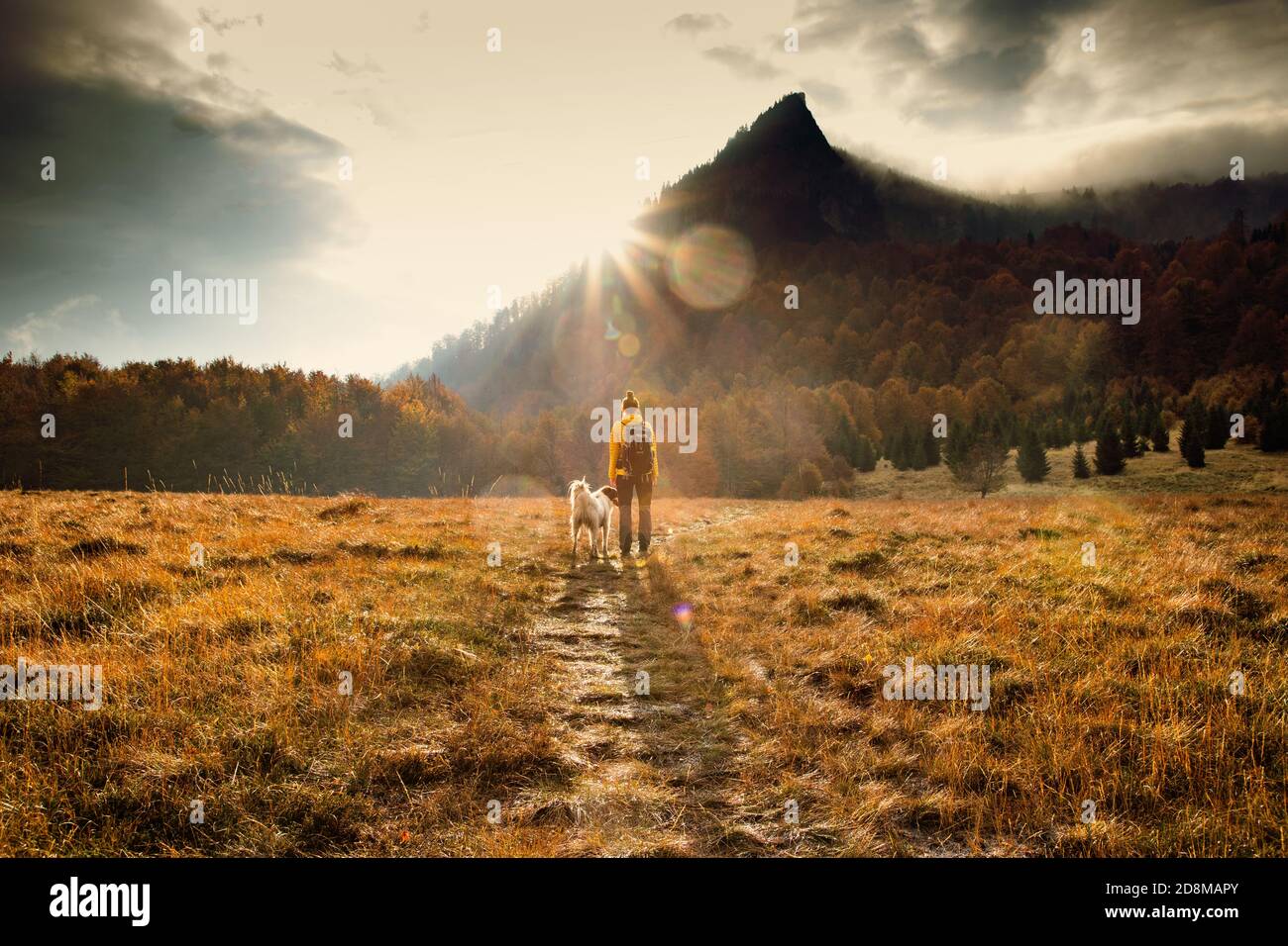 donna e cane all'aperto in autunno alba sociale distanziamento Foto Stock