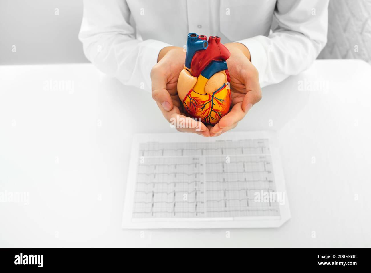 Cardiologo che tiene in mano il modello di cuore e i risultati di un paziente con elettrocardiogramma. supporto medico per la salute cardiaca umana Foto Stock