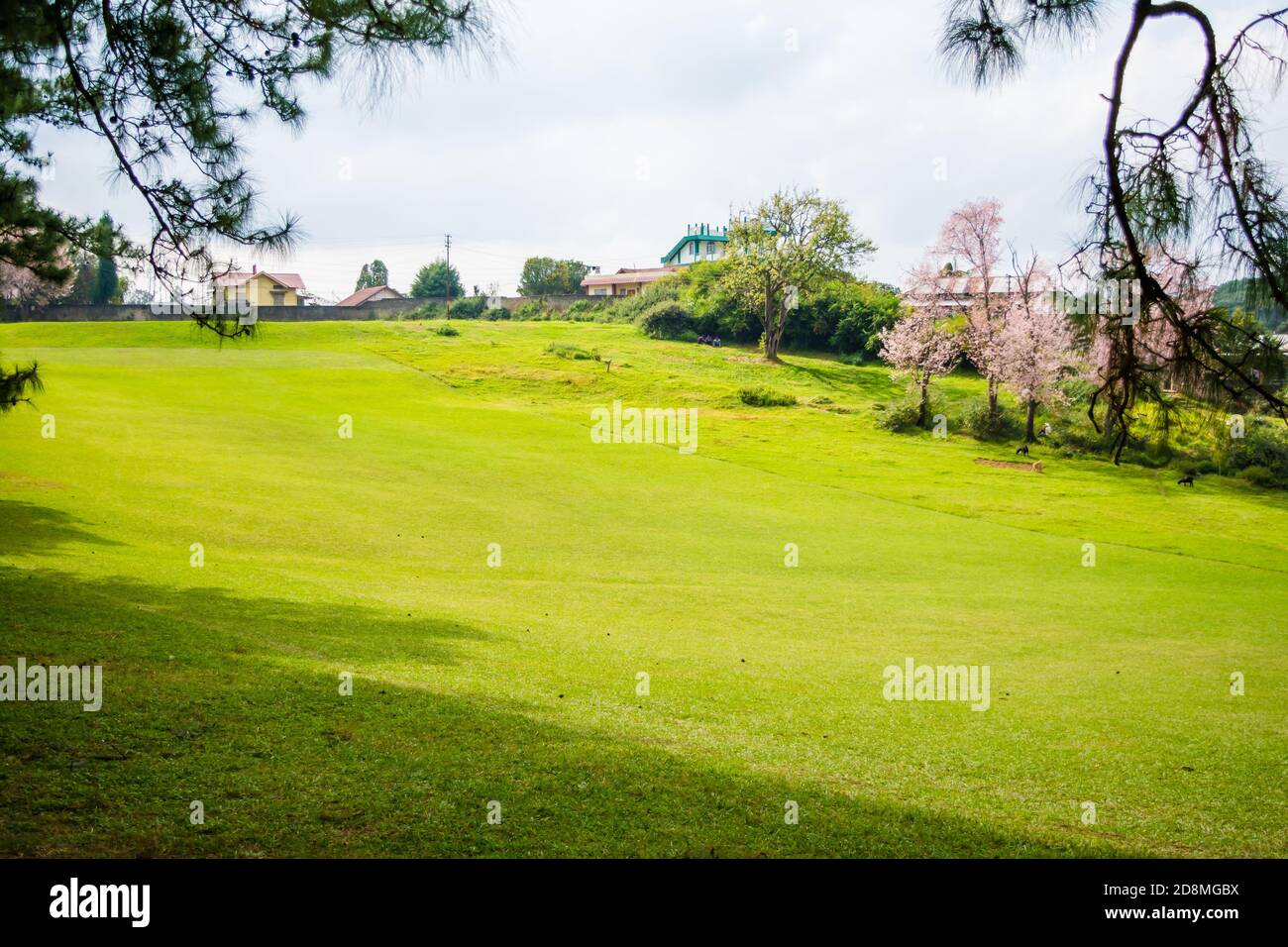 Famoso campo da golf a 18 buche Shillong, situato nel quartiere di East Khasi Hills a Meghalaya, il più antico campo da golf naturale Foto Stock