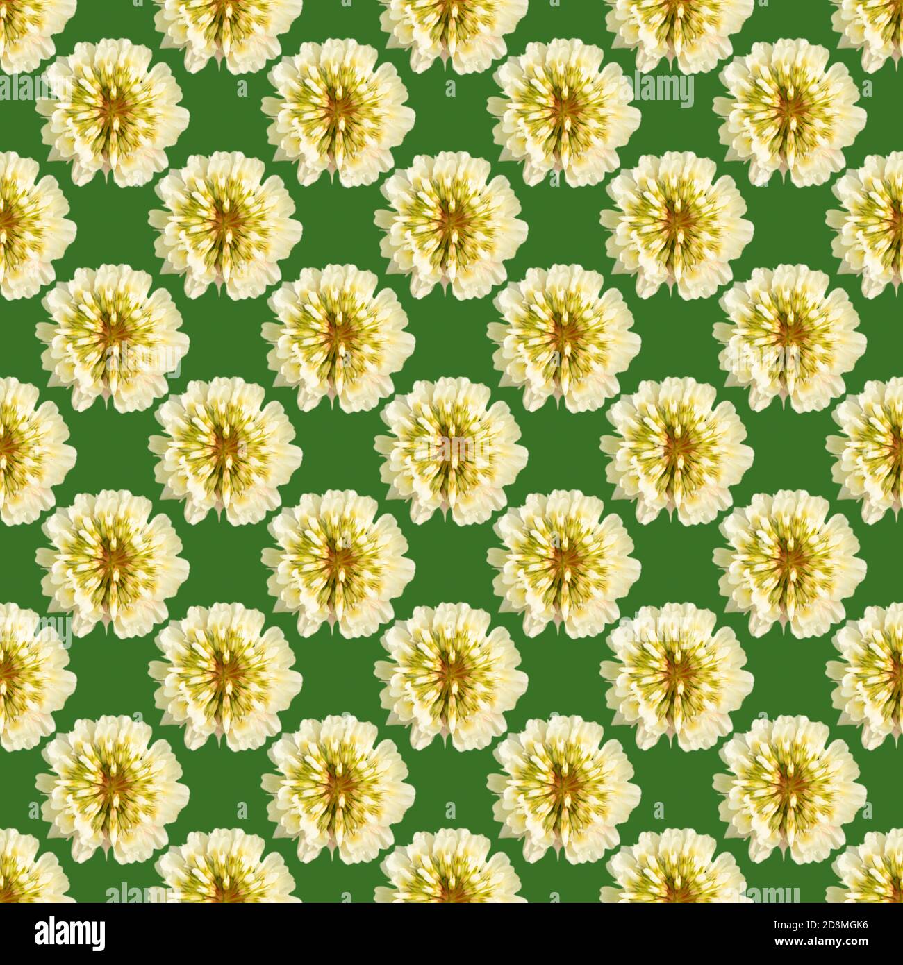 Motivo senza cuciture ms con fiori di trifoglio bianchi su sfondo verde. Disegno semplice per l'applicazione su qualsiasi superficie. Modello. Foto Stock