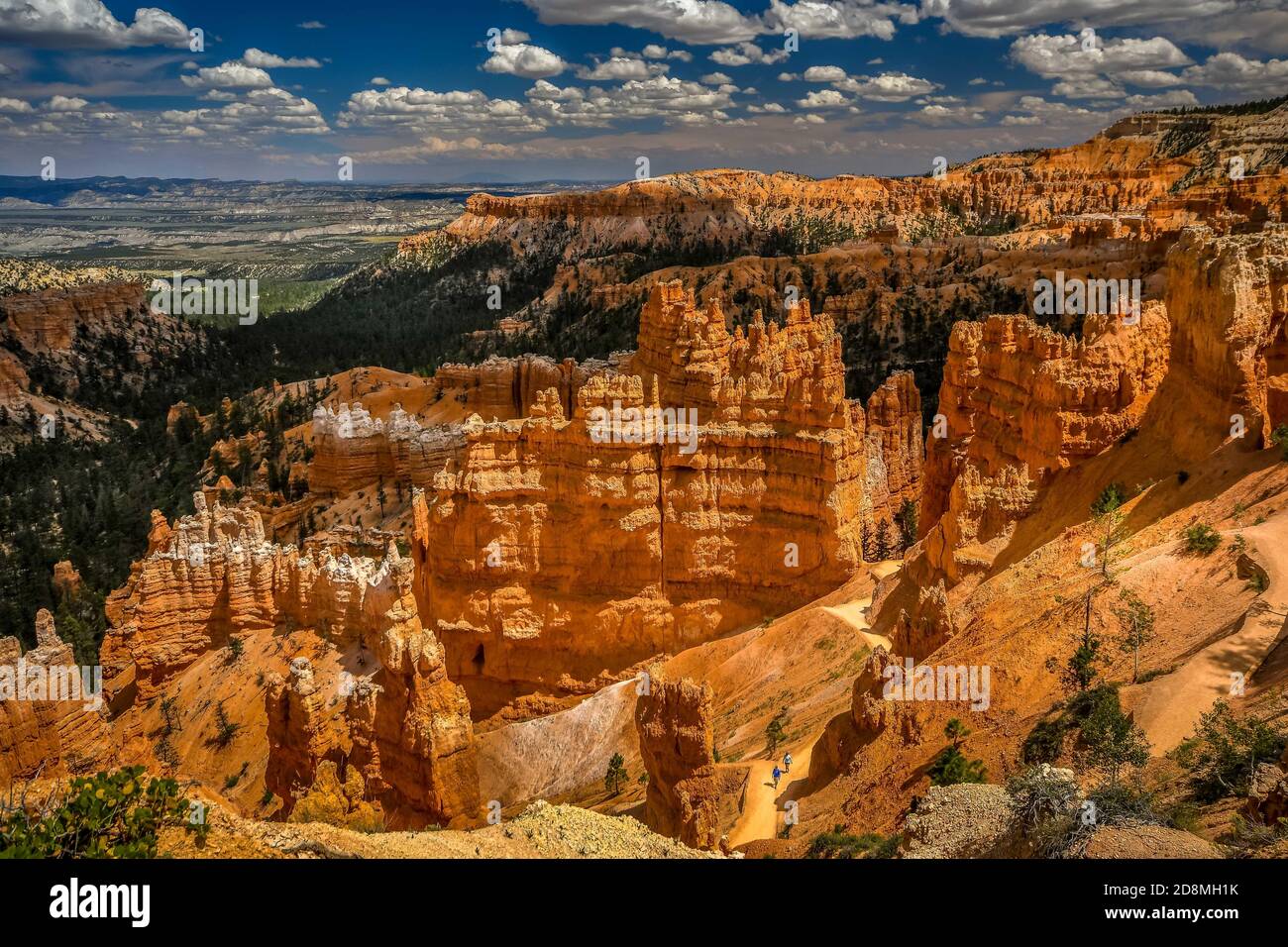 Bryce Canyon USA Foto Stock