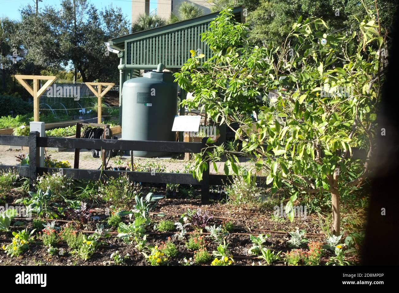 Giardini urbani con colture di verdure, una fattoria urbana, forno e sedie, Tavoli, con fiori, Kale, Peperoni, menta, girasoli, rame Piping d'acqua. Foto Stock