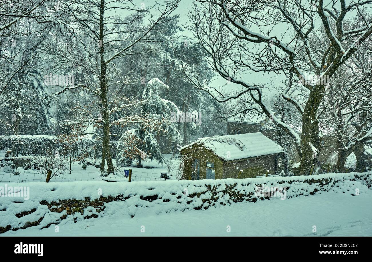 La neve continua a cadere e la neve in discesa blocca il vialetto alla piccola casa annidata in un giardino alberato Foto Stock