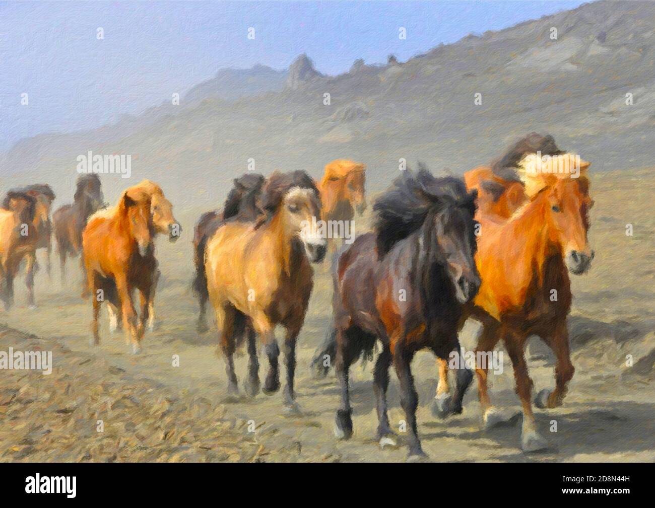 Immagini atmosferiche di cavalli che corrono nel deserto. Foto Stock