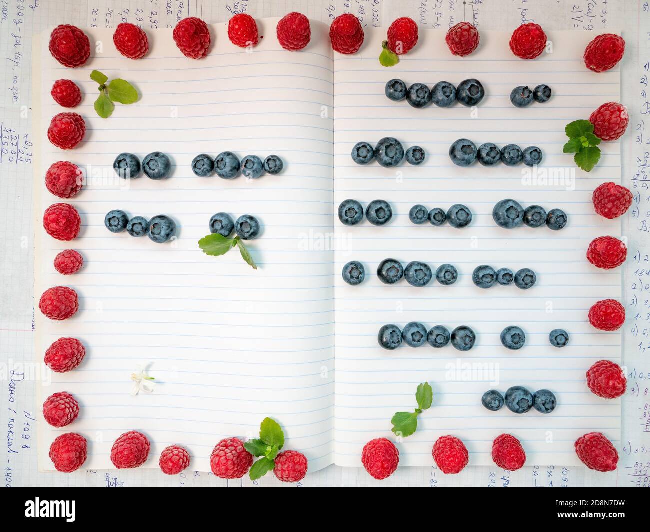 Lezione di scrittura allegra e gustosa. Gioca e impara con divertimento. Notebook governato con linee scritte da mirtilli freschi sulla sua pagina e cornice lampone. Foto Stock