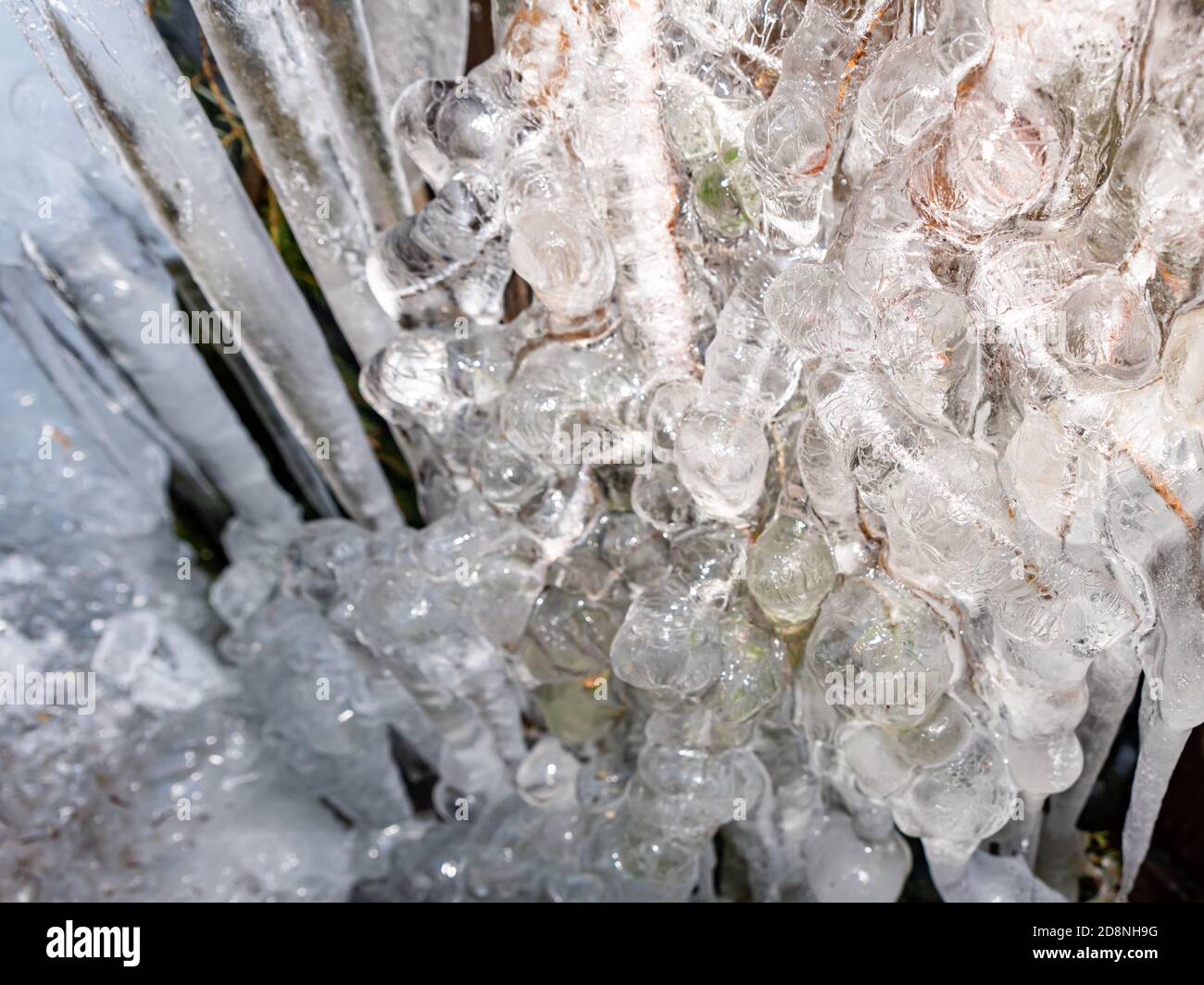 primo piano di cristalli di ghiaccio. Iciclette. Foto Stock
