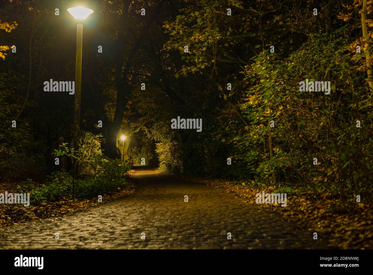 Una strada acciottolata che conduce attraverso una foresta, strada acciottolata di notte, lampioni di strada di notte Foto Stock