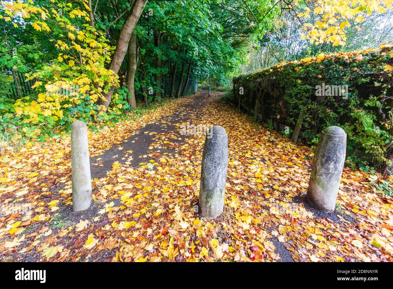 Scena autunnale con posti e sentiero, Ellesmere Park, Eccles, Salford, Greater Manchester, UK Foto Stock