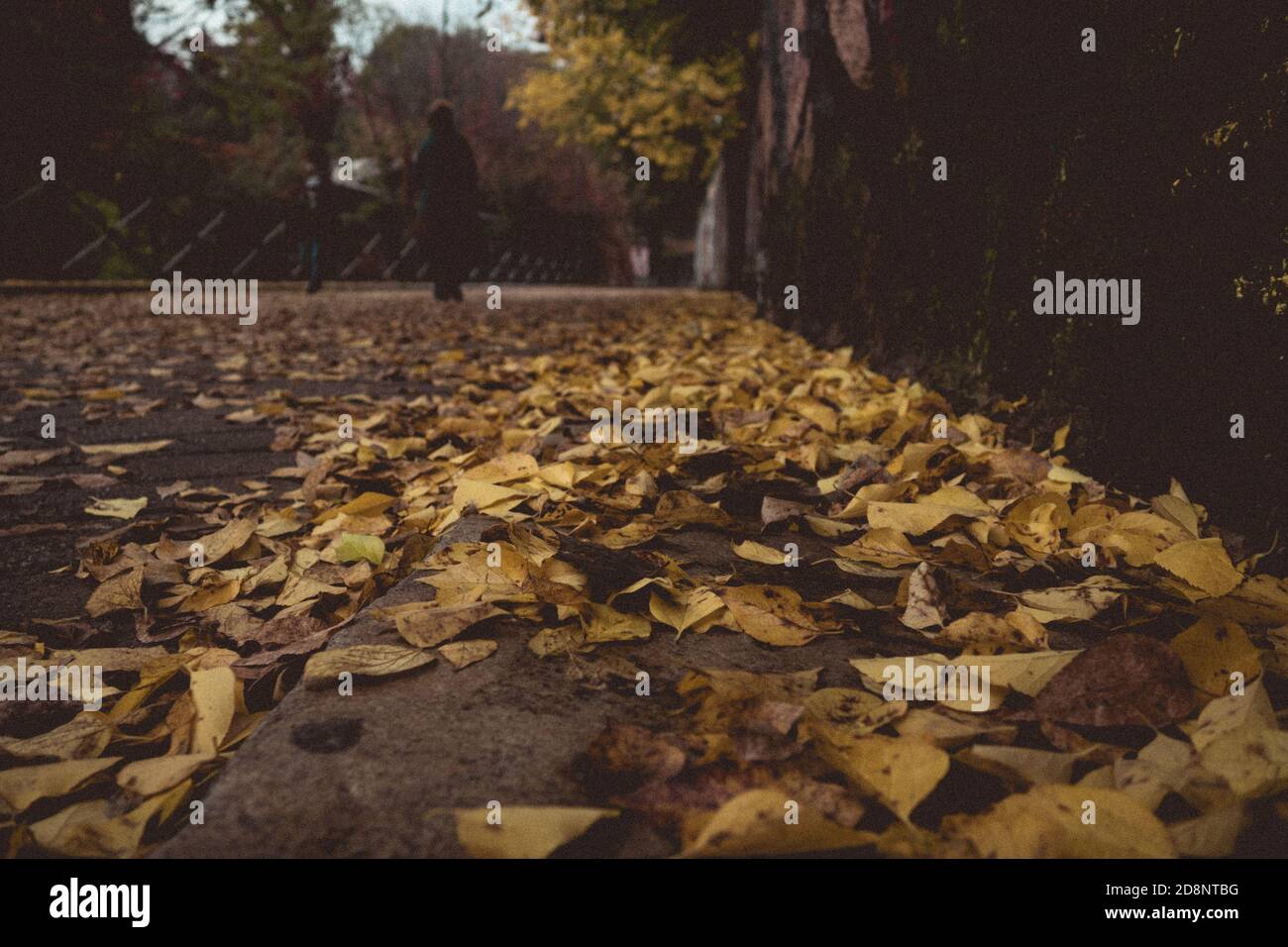 Autunno a Milano Foto Stock