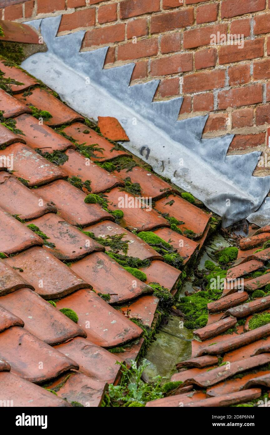 muschio crescente su un tetto di tegole rosse che danneggia l'integrità a  tenuta stagna dei materiali da costruzione Foto stock - Alamy