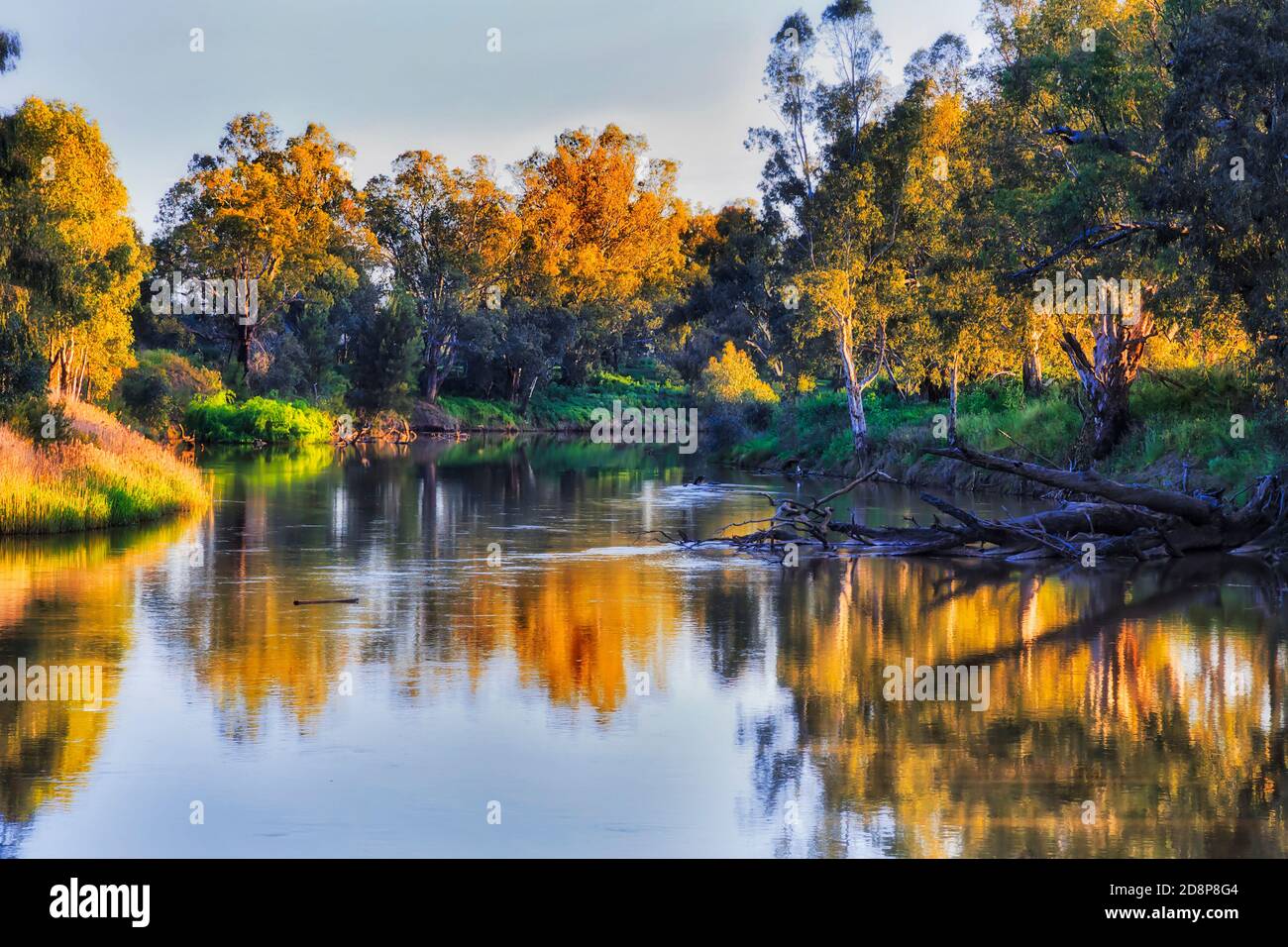 Fiume Macquarie che scorre nella città di Dubbo delle grandi pianure occidentali in Australia - paesaggio panoramico al tramonto. Foto Stock
