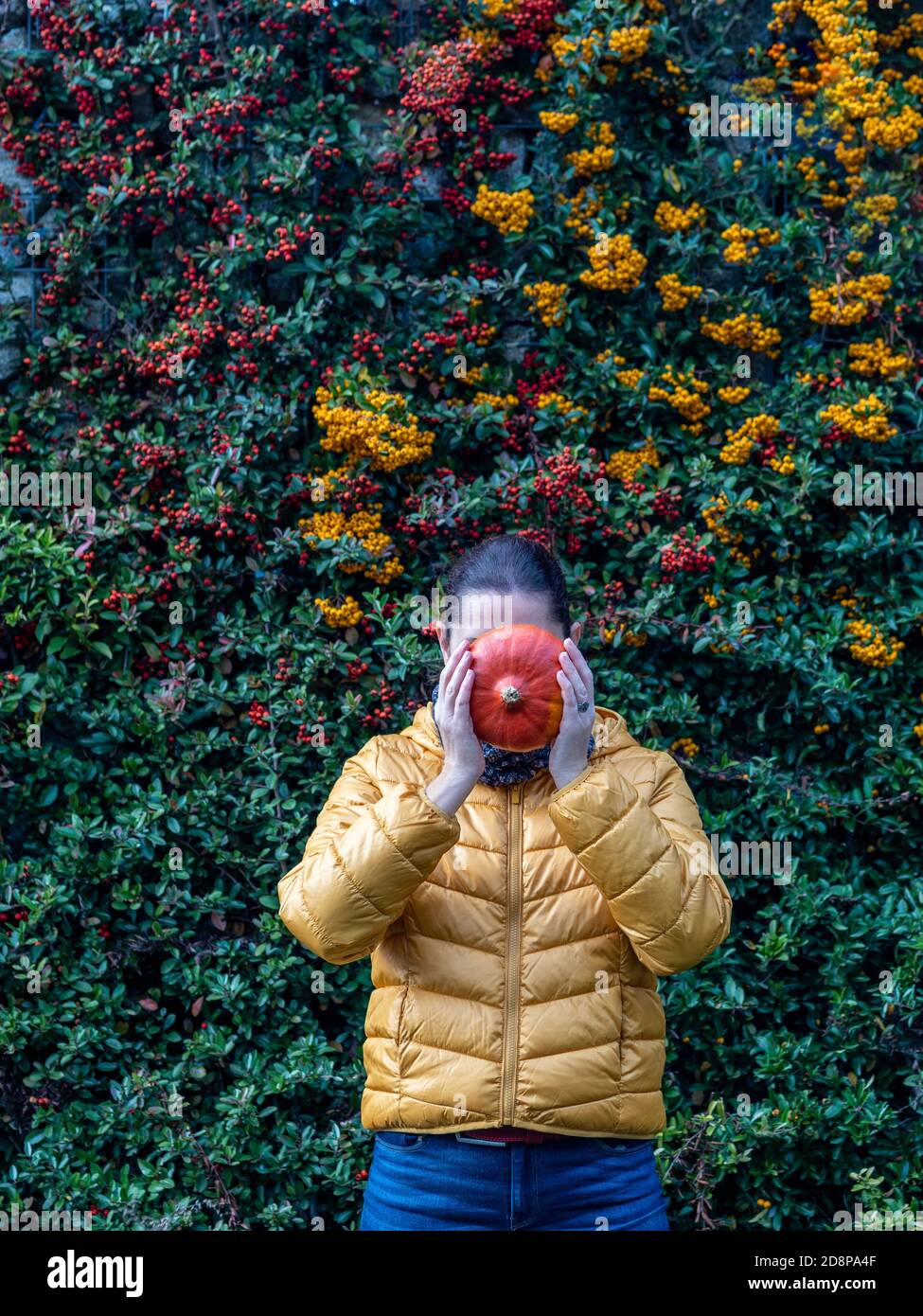 Donna caucasica con giacca invernale gialla e jeans blu che la ricopre di zucca arancione. Piracantha rosso e giallo sullo sfondo. Concetto autunnale Foto Stock