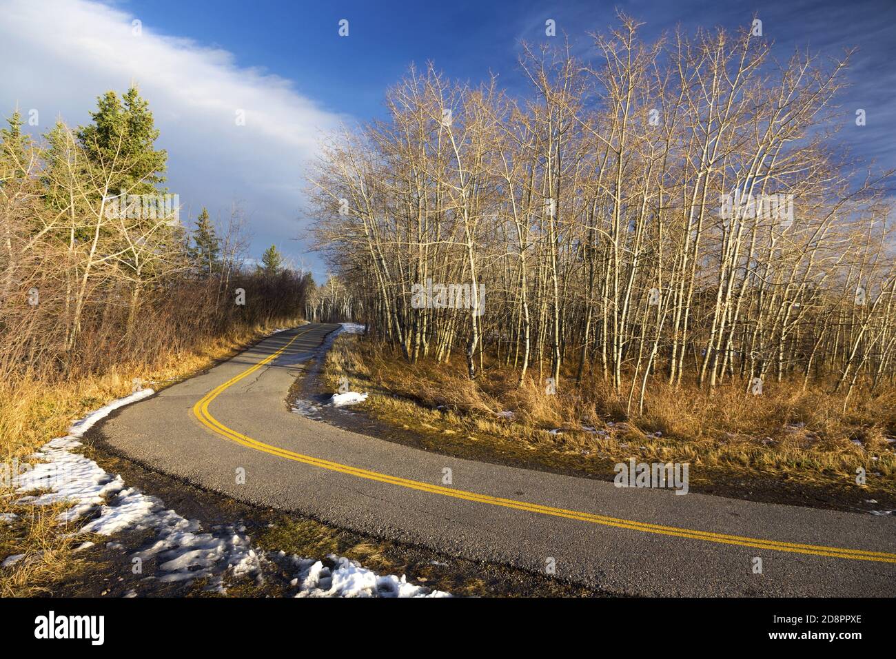 Percorso ciclabile nel parco urbano di Glenmore Reservoir a South Calgary, Alberta Canada in un pomeriggio di autunno soleggiato Foto Stock