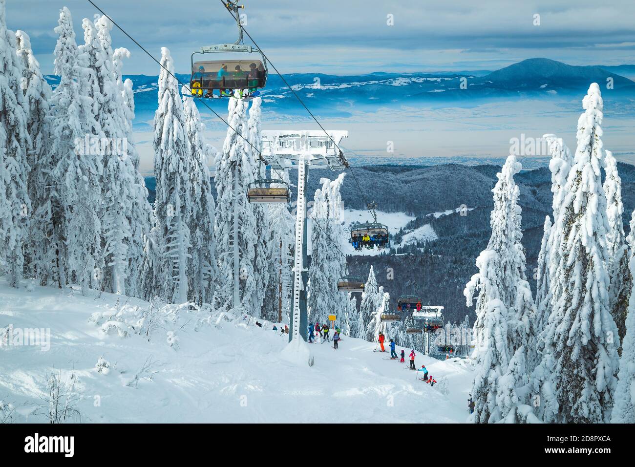 Gli sciatori godono della vista sugli impianti di risalita. Luogo meraviglioso con pini innevati e sciatori sulle piste, Poiana Brasov resort, Transilvania, Romania, e Foto Stock