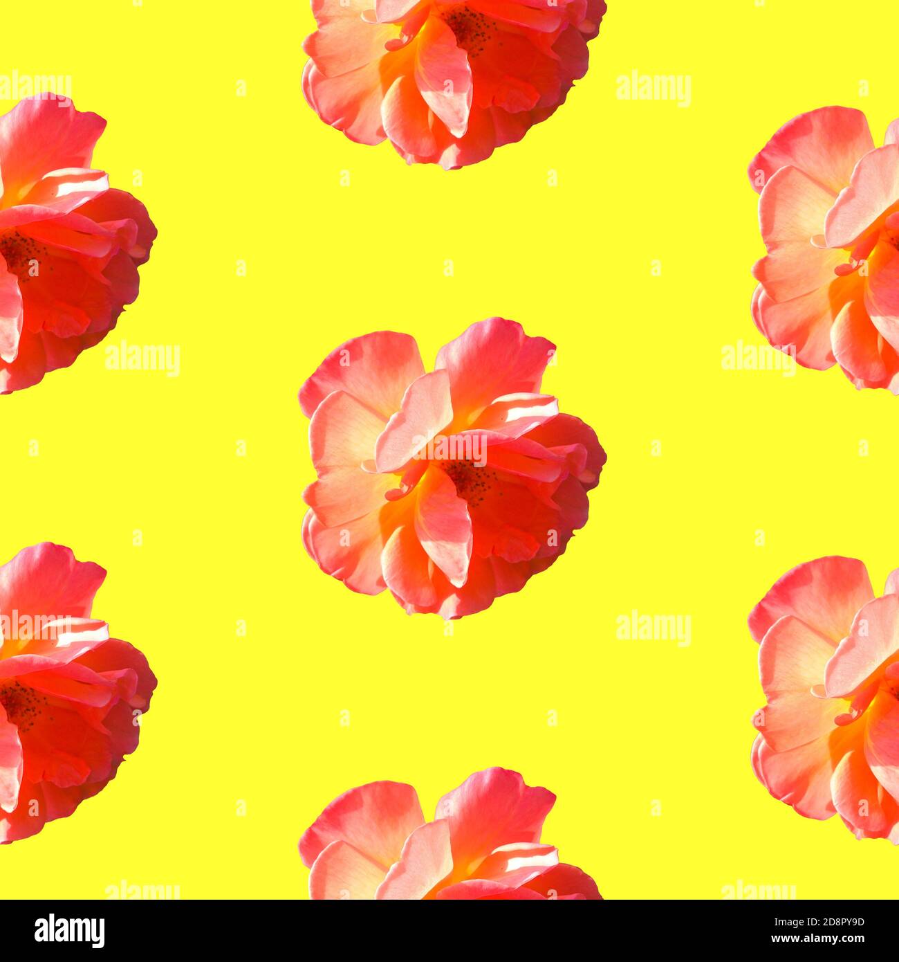 Motivo senza cuciture con rose su sfondo giallo. Disposizione piatta, vista dall'alto. Pop art design creativo per tessuti, moda, carta da parati, tessuto, carta da imballaggio. Foto Stock