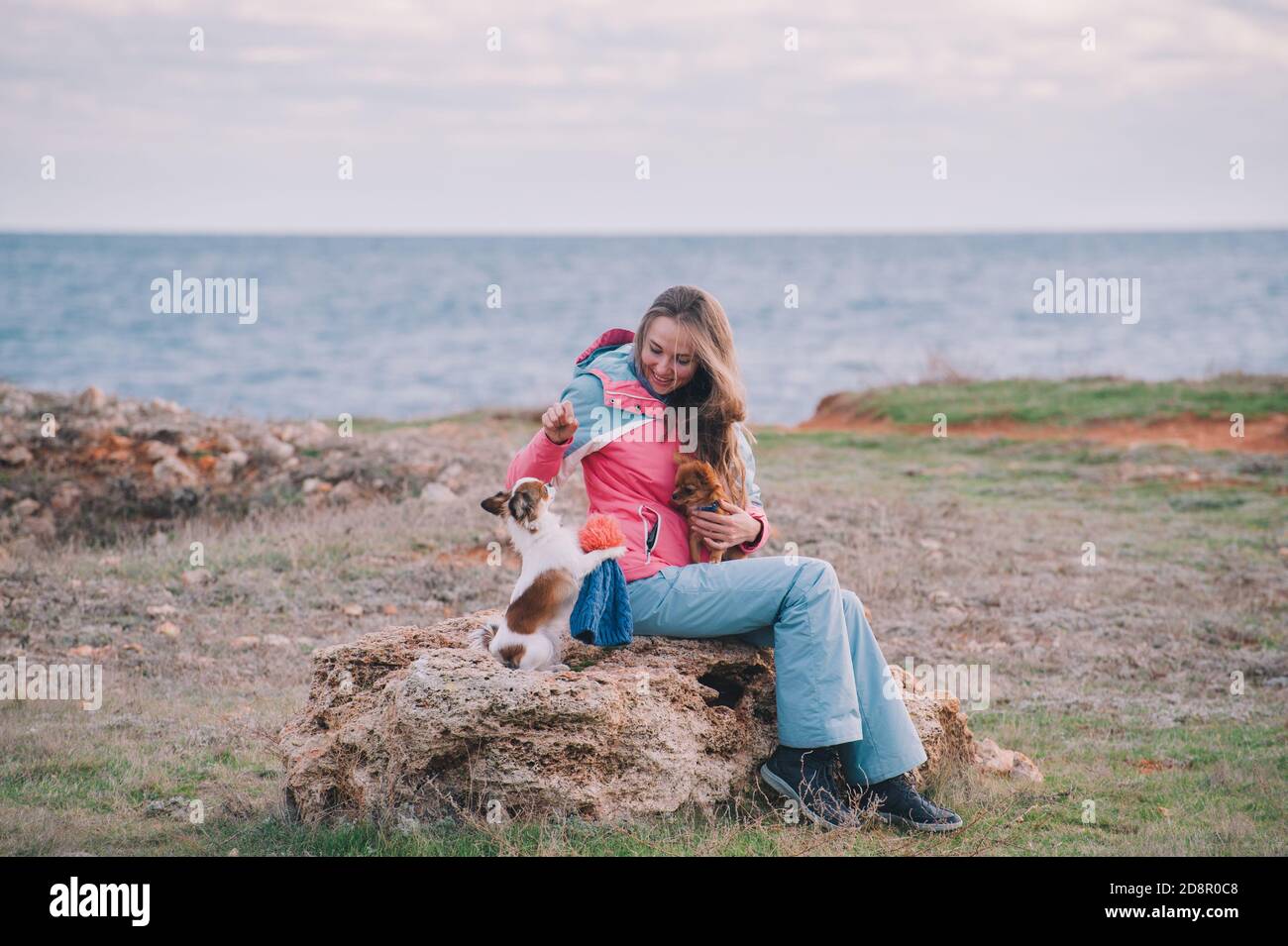 ragazza proprietario addestramento piccoli cani chihuahua facendo trucchi all'aperto vicino mare invernale Foto Stock