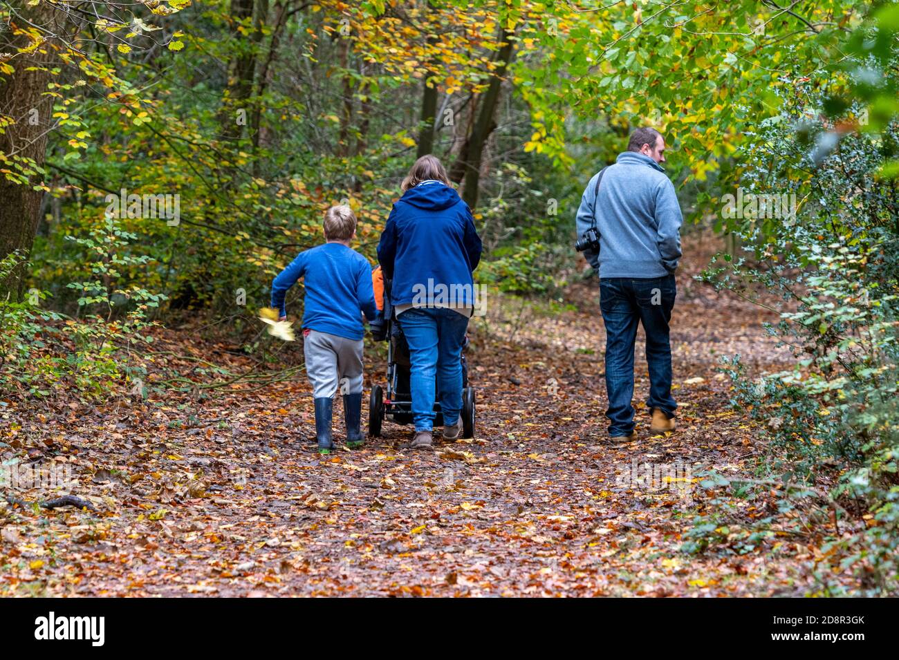 una passeggiata in famiglia nel bosco godendo l'aria fresca e i colori autunnali con un passeggino su un tappeto di foglie nel parco di campagna holt, norfolk. Foto Stock