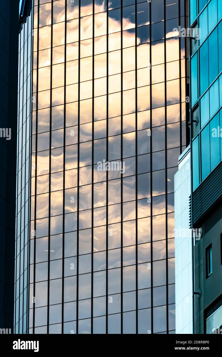 Alti edifici, Wellington, North Island, Nuova Zelanda Foto Stock