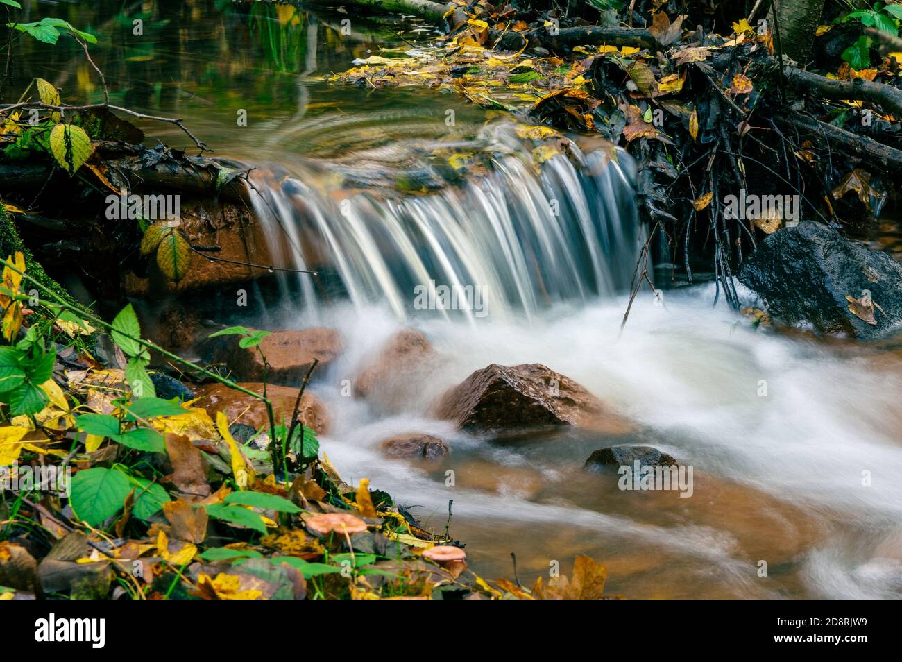 Lunga esposizione di piccolo ruscello in alta Lusazia, Germania Foto Stock