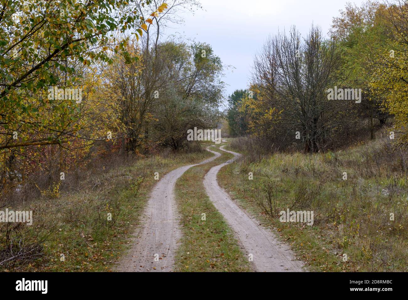 Paesaggio autunnale con strada di campagna tra alberi con foglie multicolore, cespugli e erbacce. Foto Stock