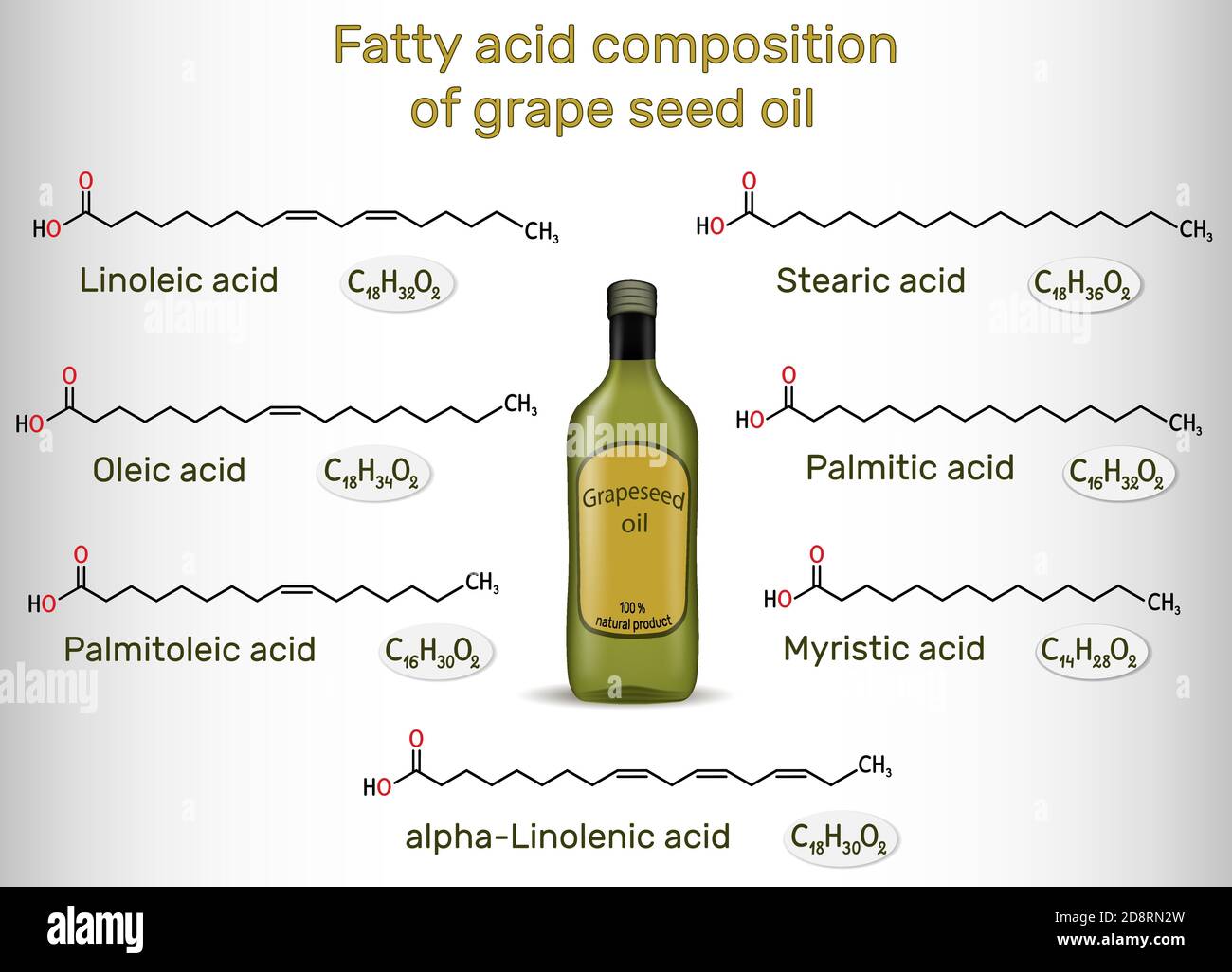 Composizione di acido grasso dell'olio di semi d'uva. Composti chimici: Acido palmitico, acido stearico, palmitoleico, oleico, linoleico, alfa-linolenico. Strutturale Illustrazione Vettoriale