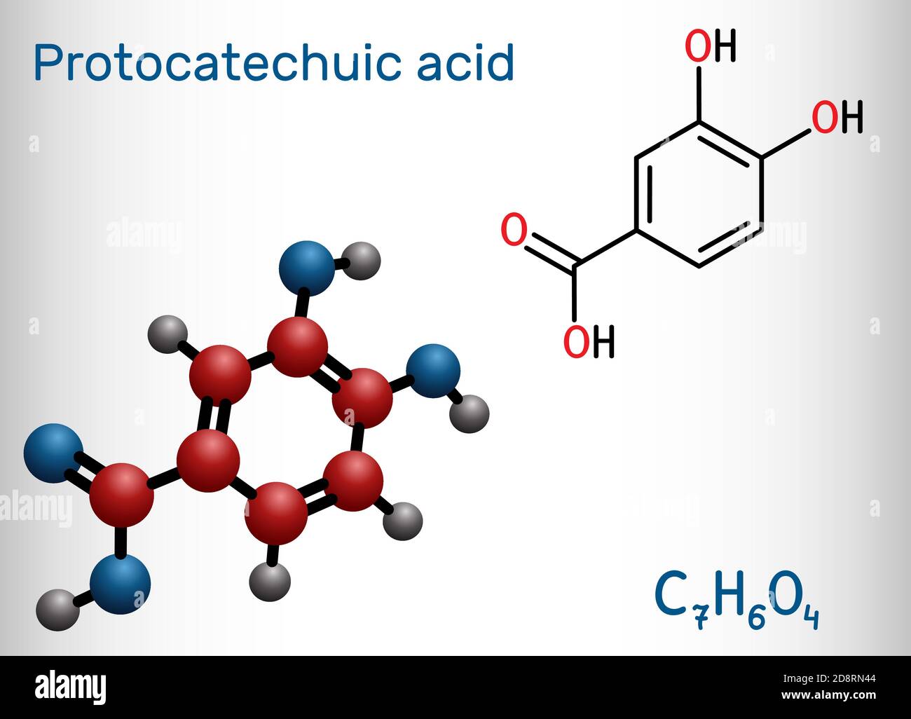 Acido protocatechuico, molecola PCA. È 3,4-diidrossibenzoico, acido fenolico, metabolita di polifenoli antiossidanti, catecolo, si trova nel tè verde Illustrazione Vettoriale