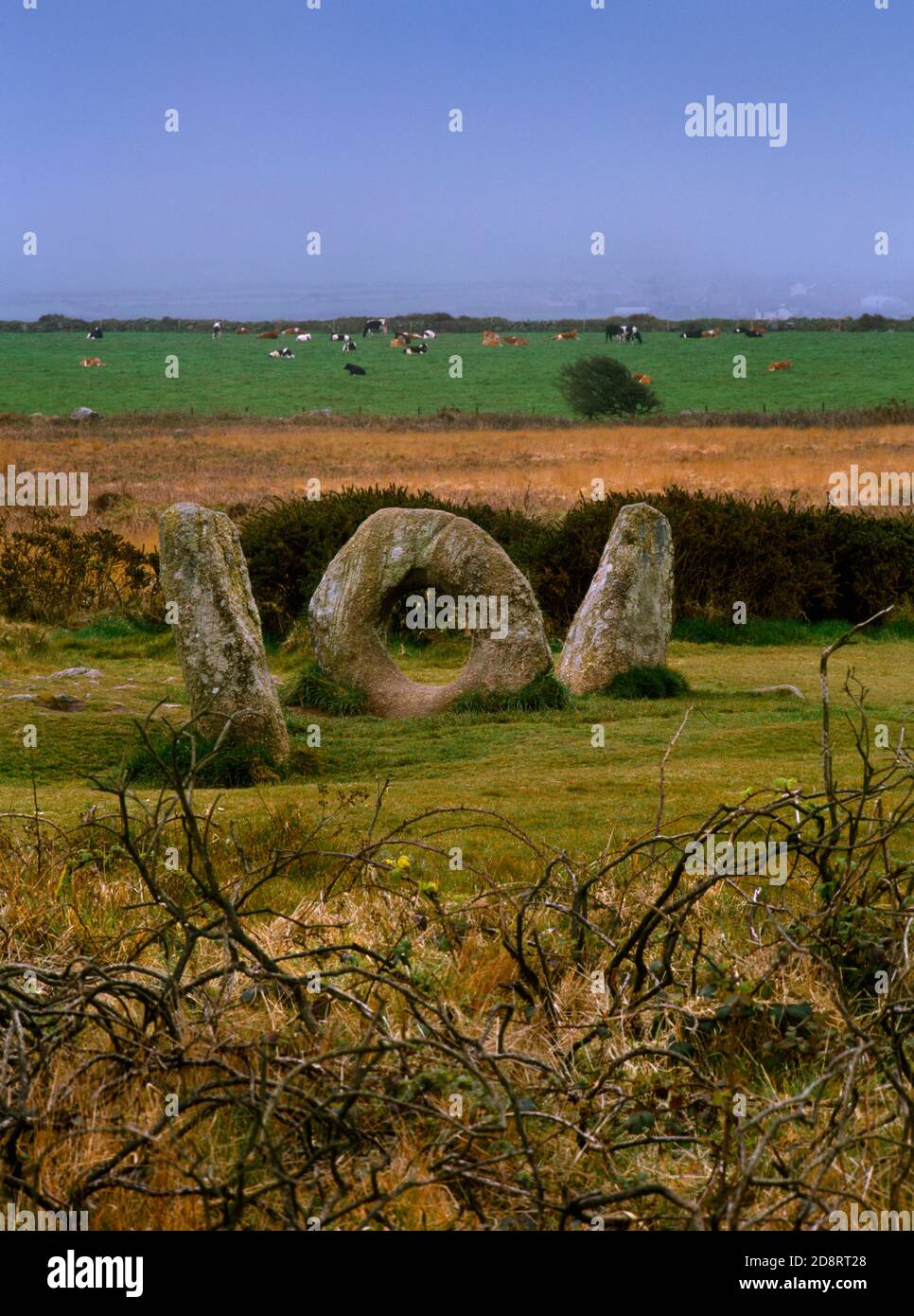 View SW of Men An Tol Holed Stone, Bosullow Common, West Penwith, Cornovaglia, Inghilterra, Regno Unito, associati con folklore, rituali di guarigione e divinazione. Foto Stock