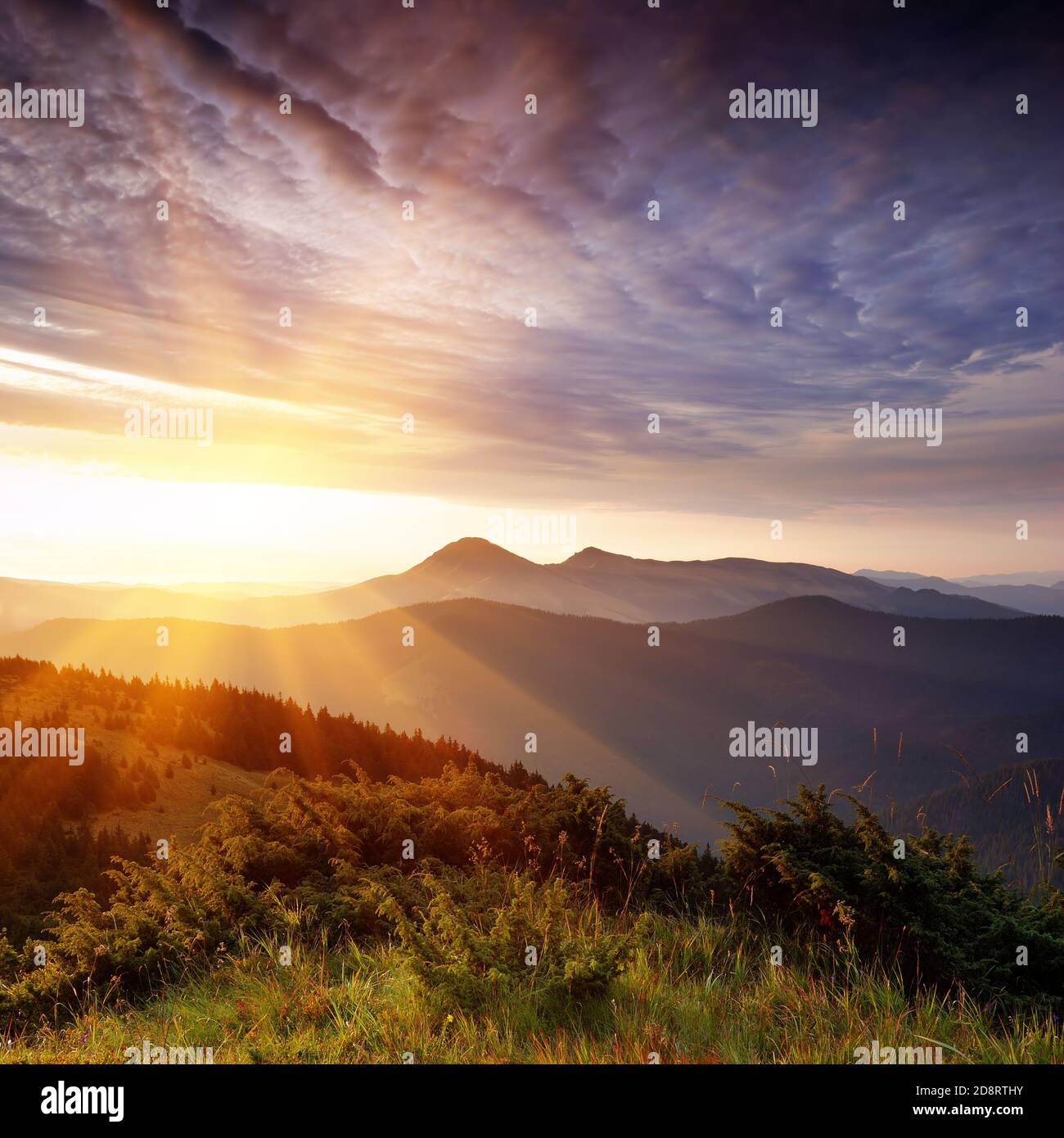 Paesaggio di estate in montagna con il sole Foto Stock
