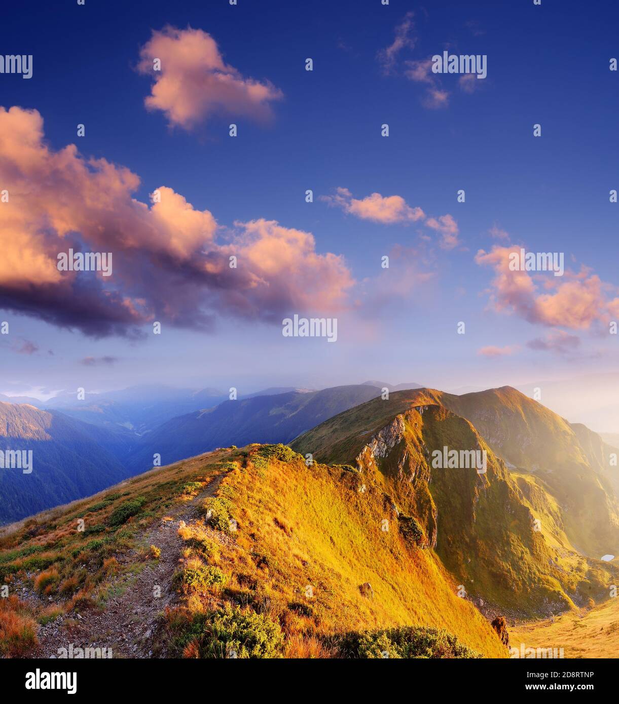 Mattina fantastica in montagna. Paesaggio soleggiato delle montagne dei Carpazi, Ucraina, Europa Foto Stock