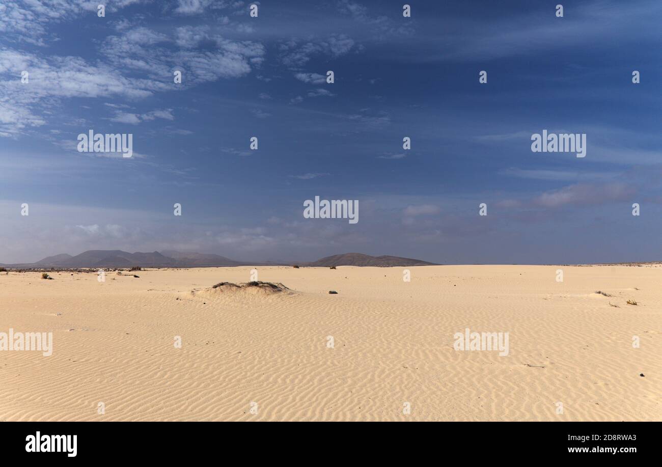 Fuerteventura, Isole Canarie, parco naturale Dune di Corralejo a nord dell'isola Foto Stock