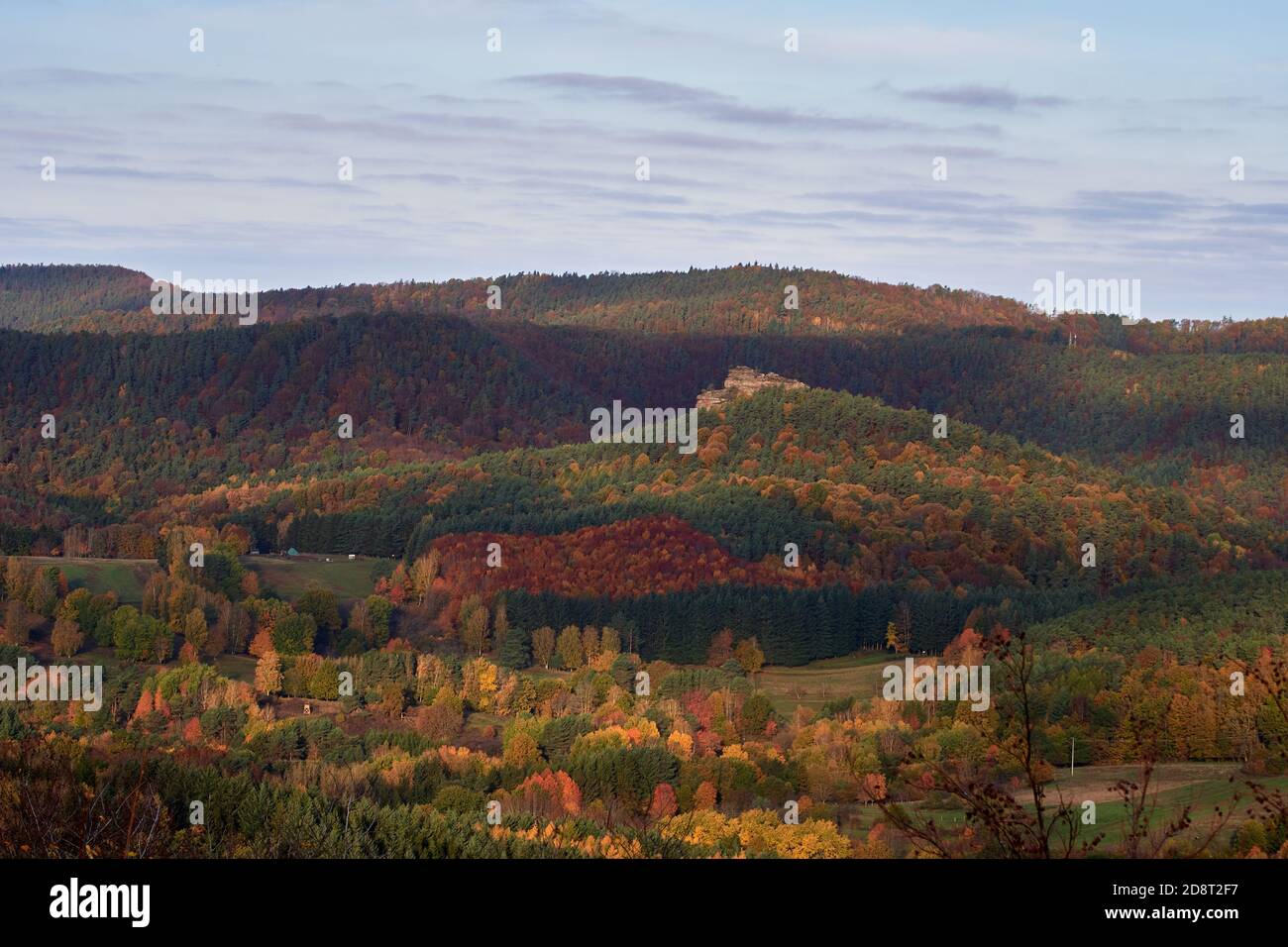 Atmosfera autunnale nella bassa catena montuosa della foresta di Palatinato vicino a Vorderweidenthal, Germania Foto Stock