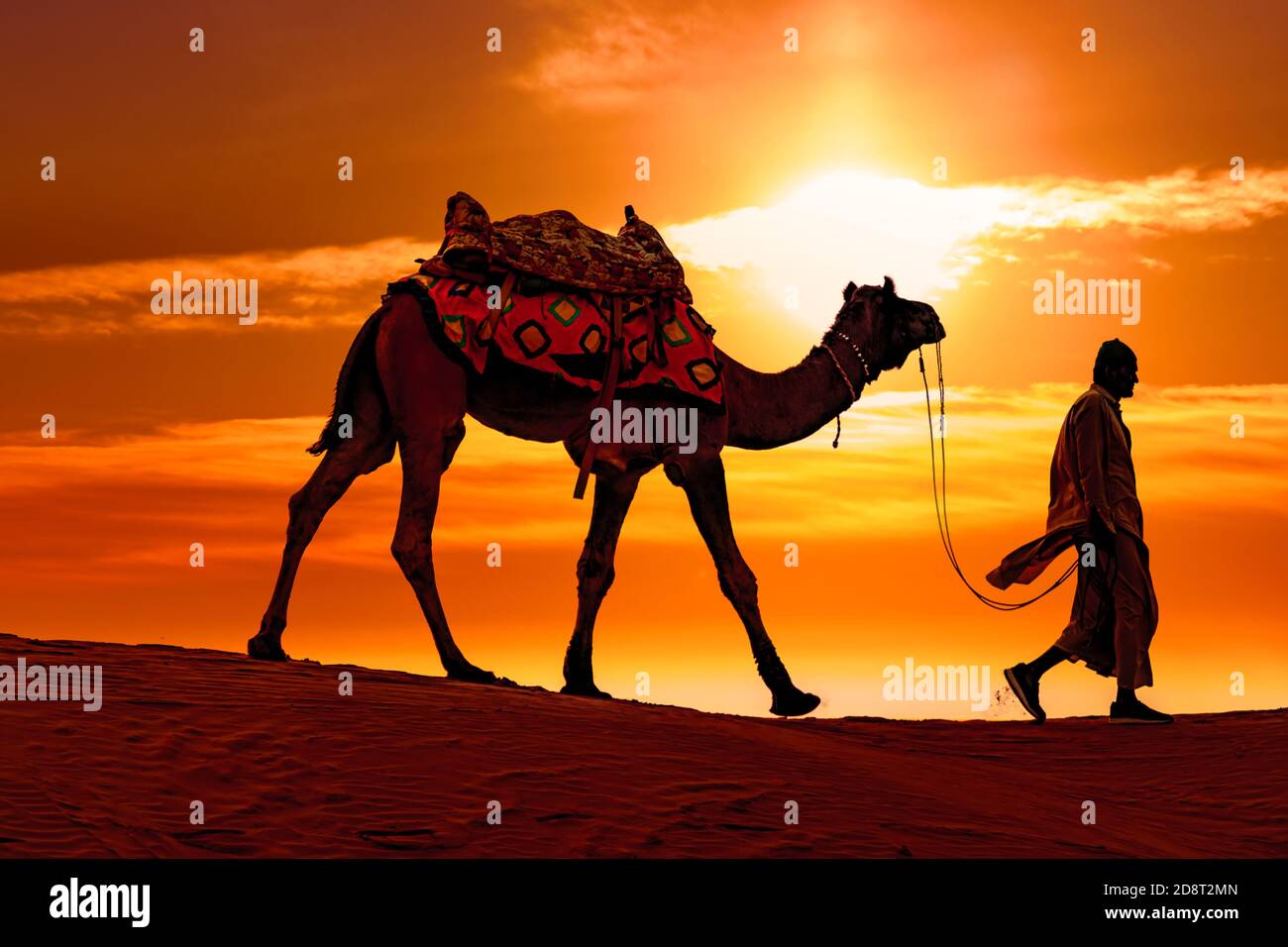 Cameleers, Camel Drivers al tramonto. Deserto di Thar sul tramonto Jaisalmer, Rajasthan, India. Foto Stock
