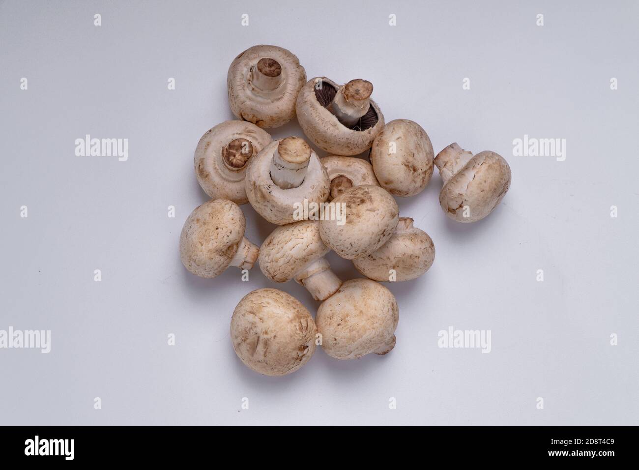 Gruppo di pomodori ciliegini freschi su piatto rustico isolato su fondo blu. Primo piano pila di pomodori ciliegini su piatto rustico. Foto Stock