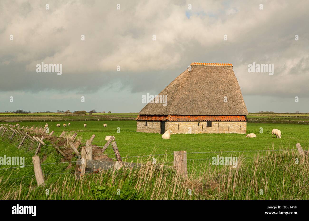 Un capannone tradizionale utilizzato per lo stoccaggio come fieno e cibo per le pecore sull'isola Wadden di Texel, Paesi Bassi Foto Stock