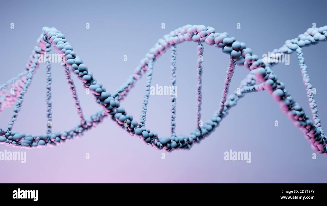 DNA, acido deossiribonucleico, struttura di molecola a doppia elica, catene polinucleotidiche, atomi, filamenti di struttura genetica umana illustrazione modello 3D Foto Stock