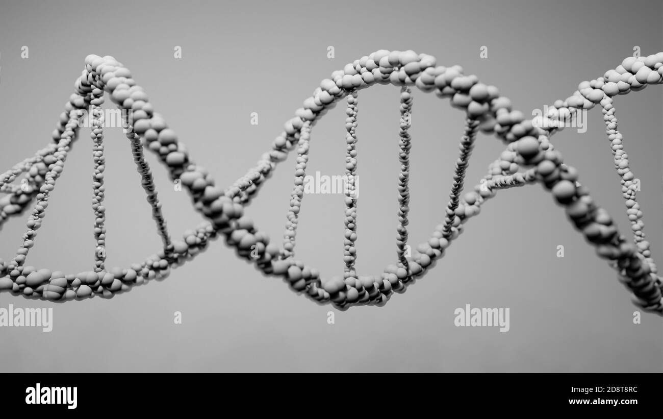 DNA, acido deossiribonucleico, struttura di molecola a doppia elica, catene polinucleotidiche, atomi, filamenti di struttura genetica umana illustrazione modello 3D Foto Stock