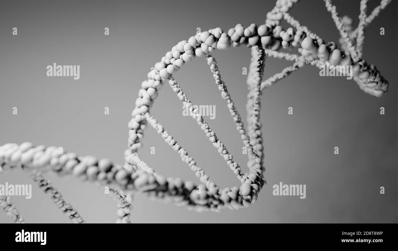 DNA, acido deossiribonucleico, struttura di molecola a doppia elica, catene polinucleotidiche, atomi, filamenti di struttura genetica umana illustrazione modello 3D Foto Stock