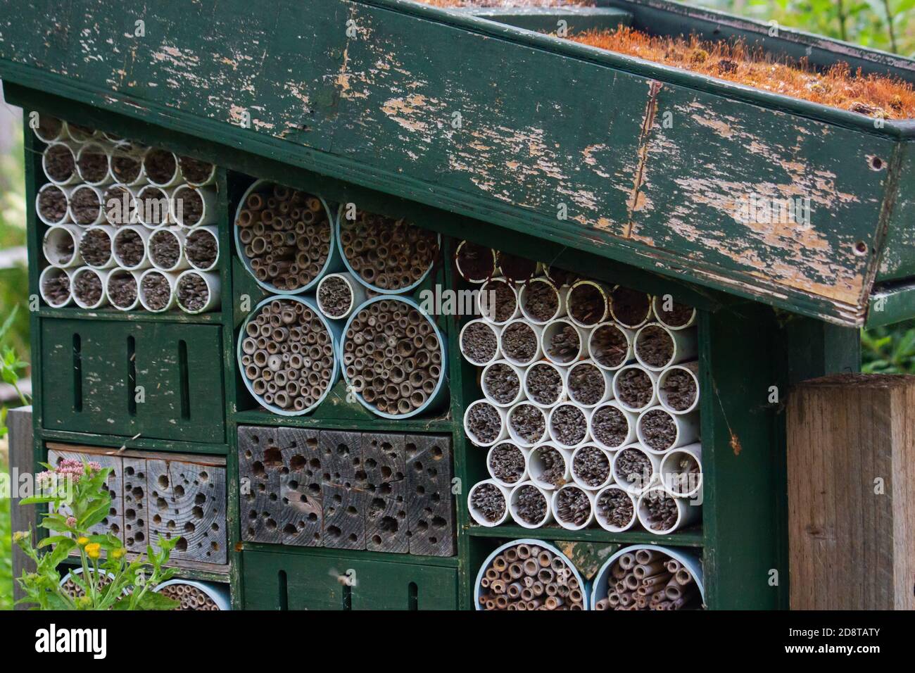 Bee Hotel, Arundel Foto Stock