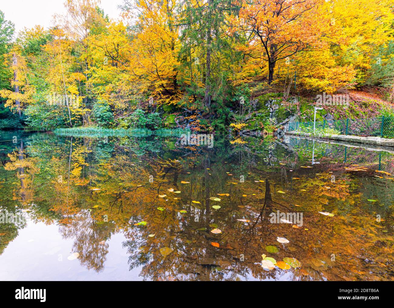 Bel riflesso di colori autunnali in uno stagno vicino slottskogen parco di gothenburg svezia Foto Stock