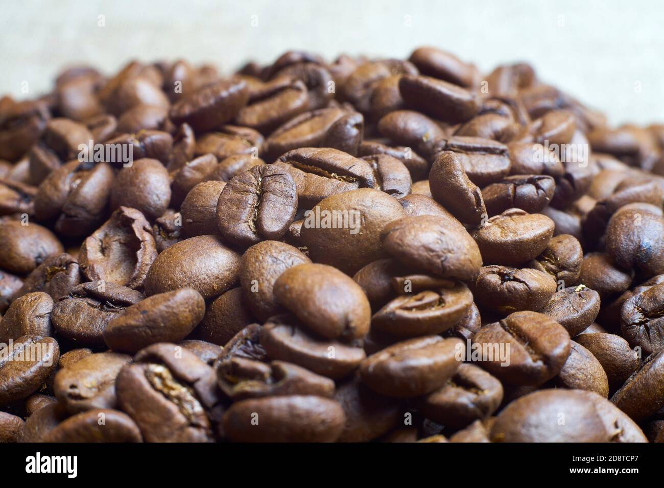 chicchi di caffè appena tostati. Foto Stock