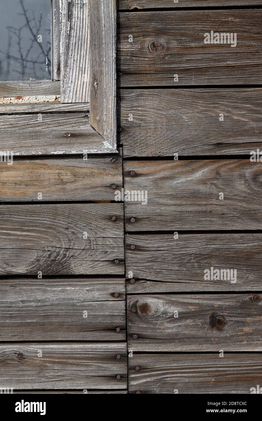 muro di una vecchia casa di legno distrutta, struttura di legno grigio Foto Stock