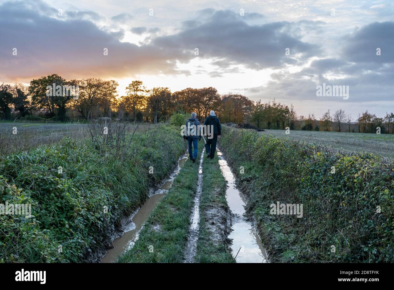 Due uomini che camminano lungo il fangoso umido sentiero paese dopo la pioggia tra i campi al tramonto, Hampshire vista campagna, Regno Unito Foto Stock