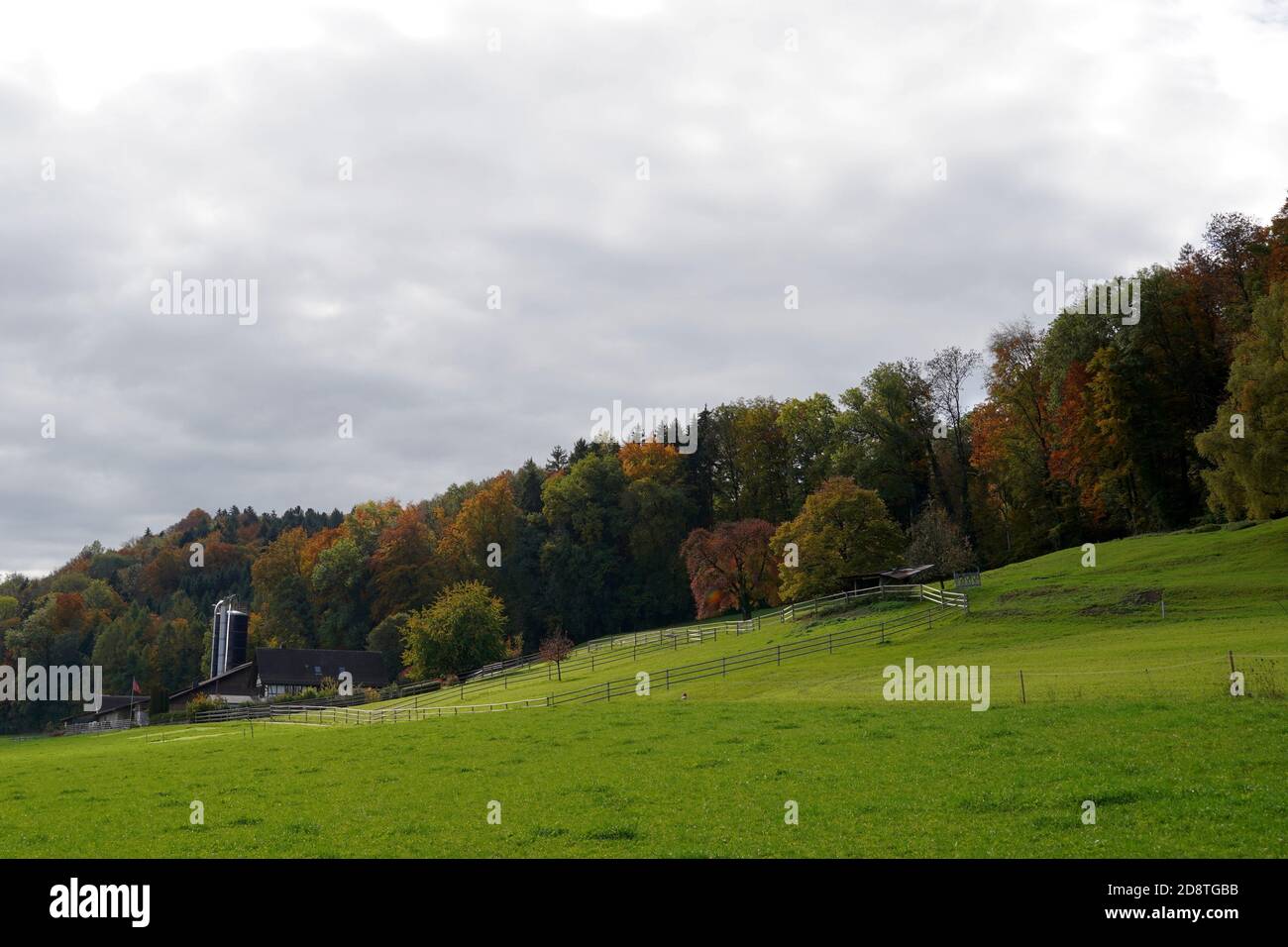 Un caseificio in Svizzera con recinzione recintata per le mucche in un giorno d'autunno con cielo sovrastato e foresta decidua con fogliame colorato all'orizzonte. Foto Stock