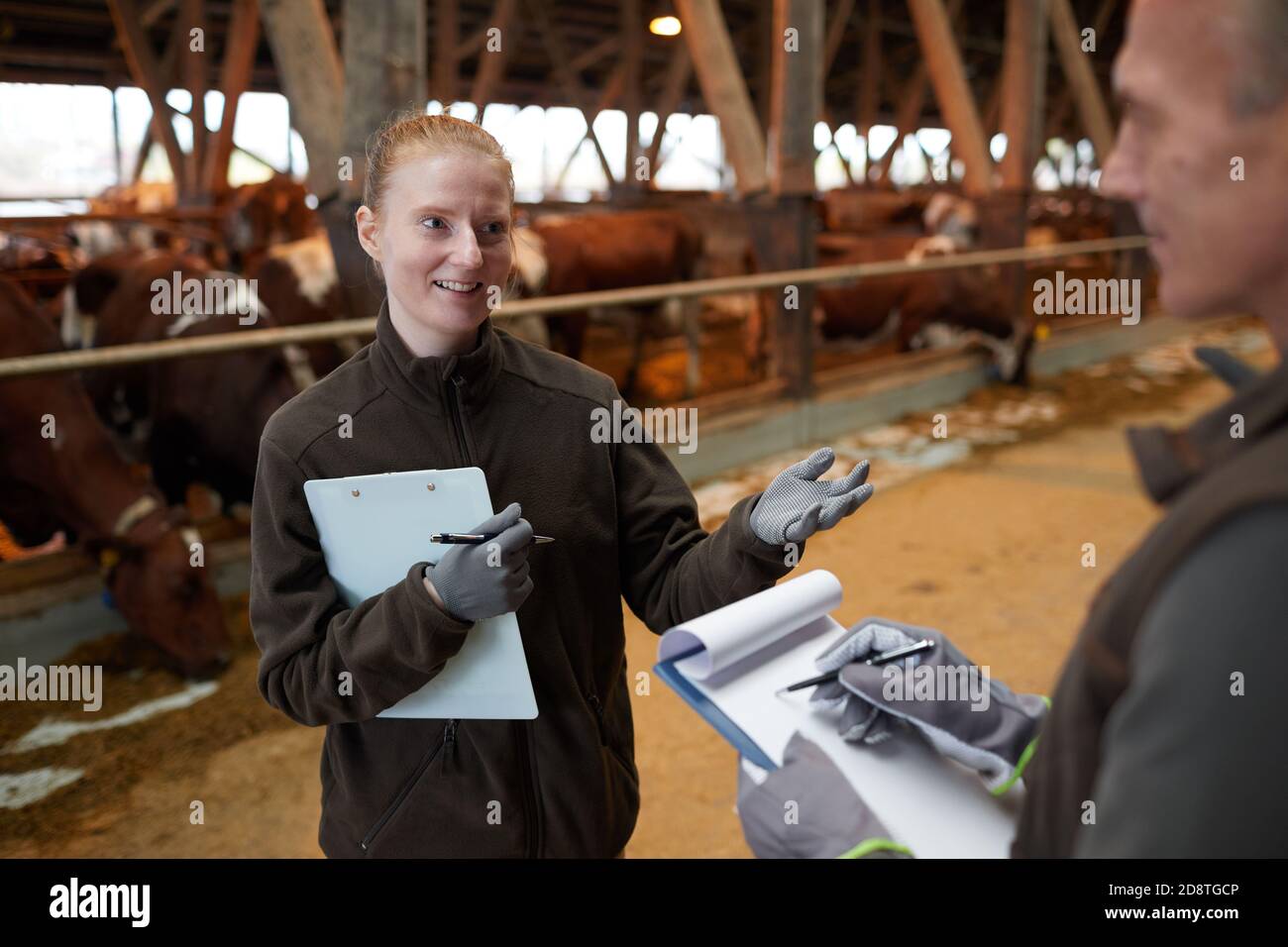 Vista ad alto angolo su due lavoratori che parlano mentre si trovano in stiva di bestiame presso la fattoria di famiglia, copia spazio Foto Stock