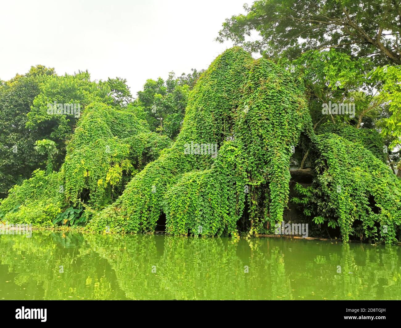 Bella Foto Di Alberi Del Villaggio Immagini e Fotos Stock - Alamy