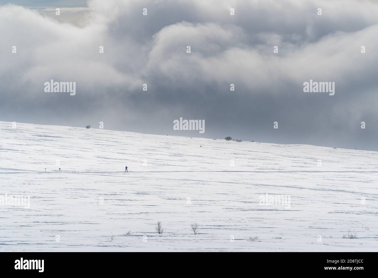 Sci di fondo in montagna con tempesta di neve in movimento. Vicino a Hovringen, Rondane National Park, Norvegia Foto Stock