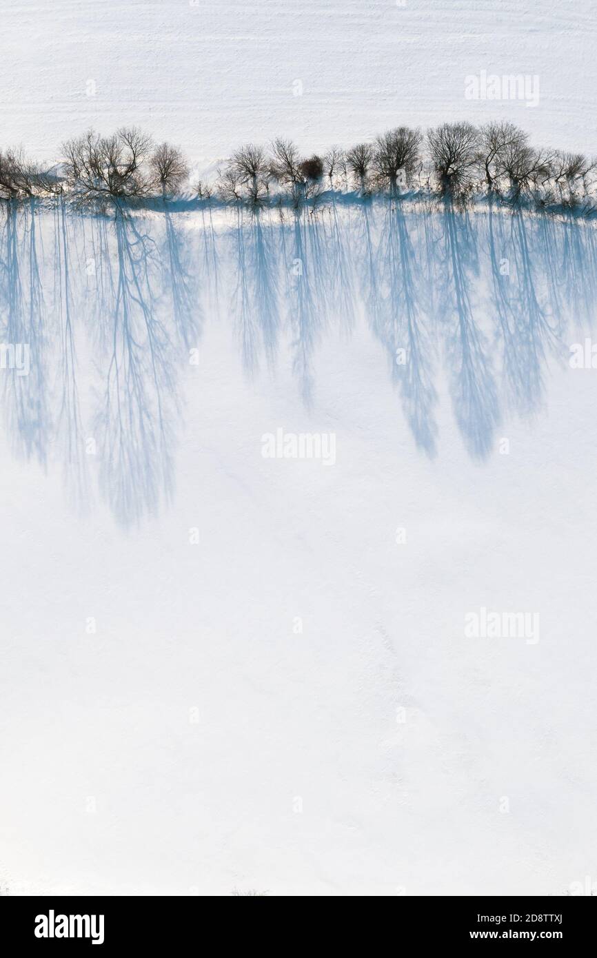 Vista aerea degli alberi lungo una strada con un'incredibile ombra sulla neve. Scenario invernale. Foto Stock