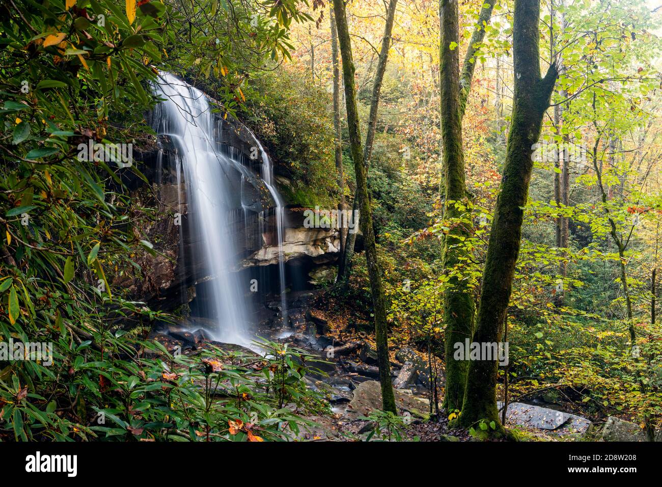 Slick roccia cade in autunno - Pisgah National Forest, Brevard, North Carolina, STATI UNITI D'AMERICA Foto Stock