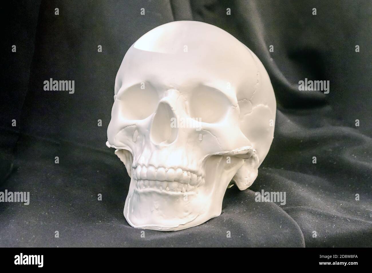 cranio umano in gesso su fondo nero Foto Stock